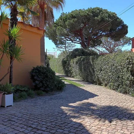 بيت للعطل Casa Da Palmeira, Pool & Soccer Pitch *