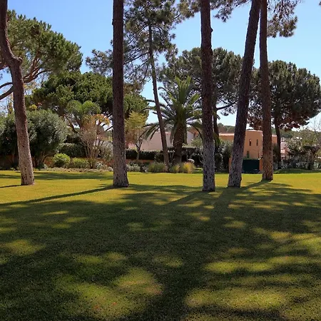 Casa Da Palmeira, Pool & Soccer Pitch Prázdninový dům *