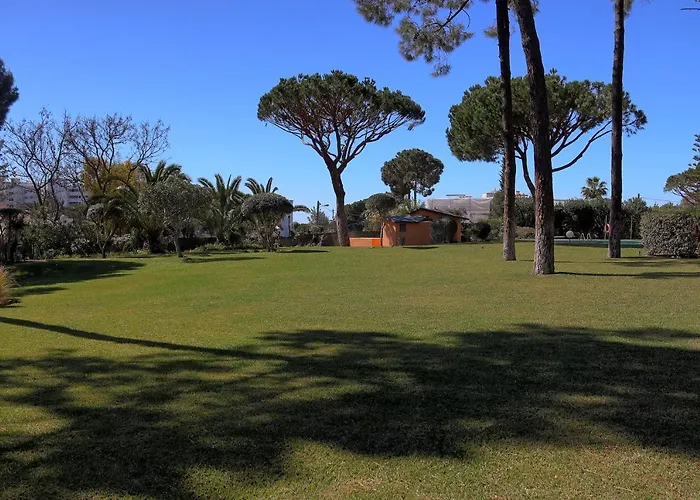 بيت للعطل Casa Da Palmeira, Pool & Soccer Pitch فيلامورا